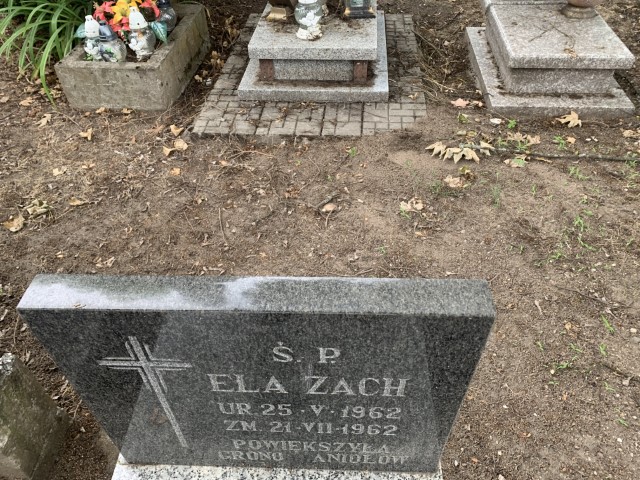 Elżbieta Zach 1962 Pasym - Grobonet - Wyszukiwarka osób pochowanych